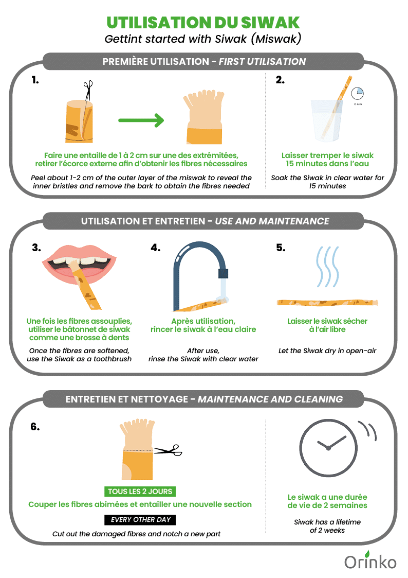 l-utilisation-du-b-ton-de-miswak-ou-siwak-pour-se-brosser-les-dents