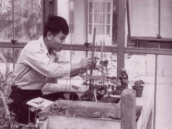 Teruo Higa et ses recherches sur l'efficacité des perles de céramique