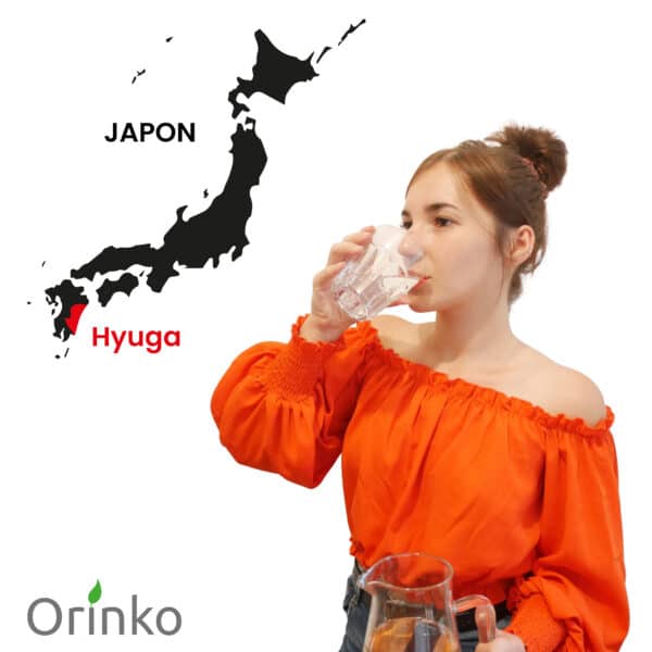 Binchotan de Hyuga pour purifier l'eau