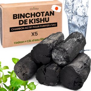 Binchotan Japonais de Kishu 5X (boîte) | Chêne Ubame
