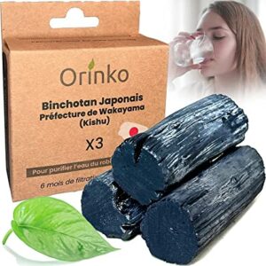 Carbón Binchotan Japonés de Kishu 3x (caja)