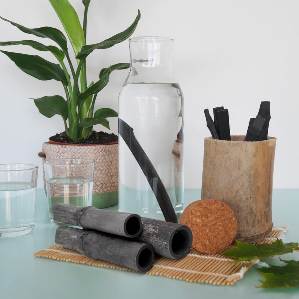 Binchotan Japonais de TOSA x6 | Charbon Actif pour Purifier l'Eau