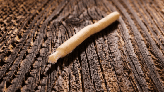 comment utiliser le siwak