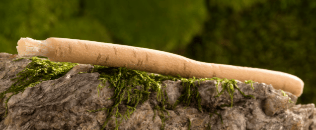 comment utiliser le siwak