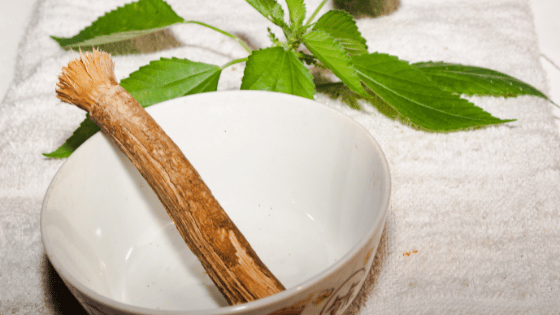 comment utiliser le siwak