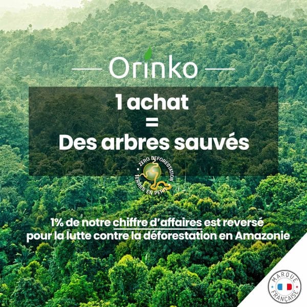 Programme de reforestation Orinko