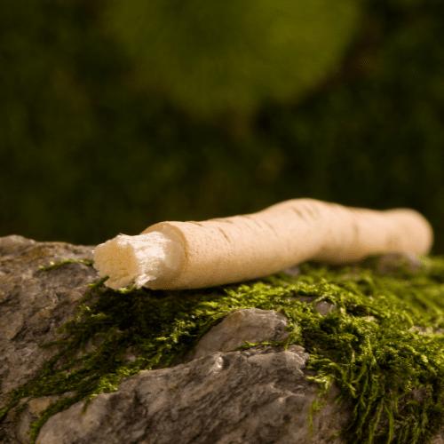 Siwak-utilisation-ramandan