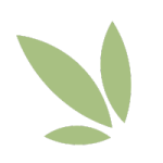 décoration feuille verte