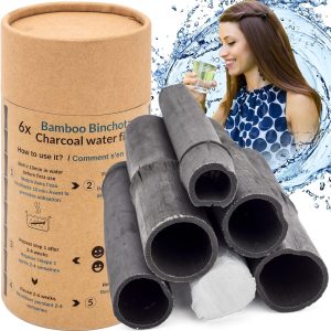 Carbón de bambú Takesumi x6 (XL)