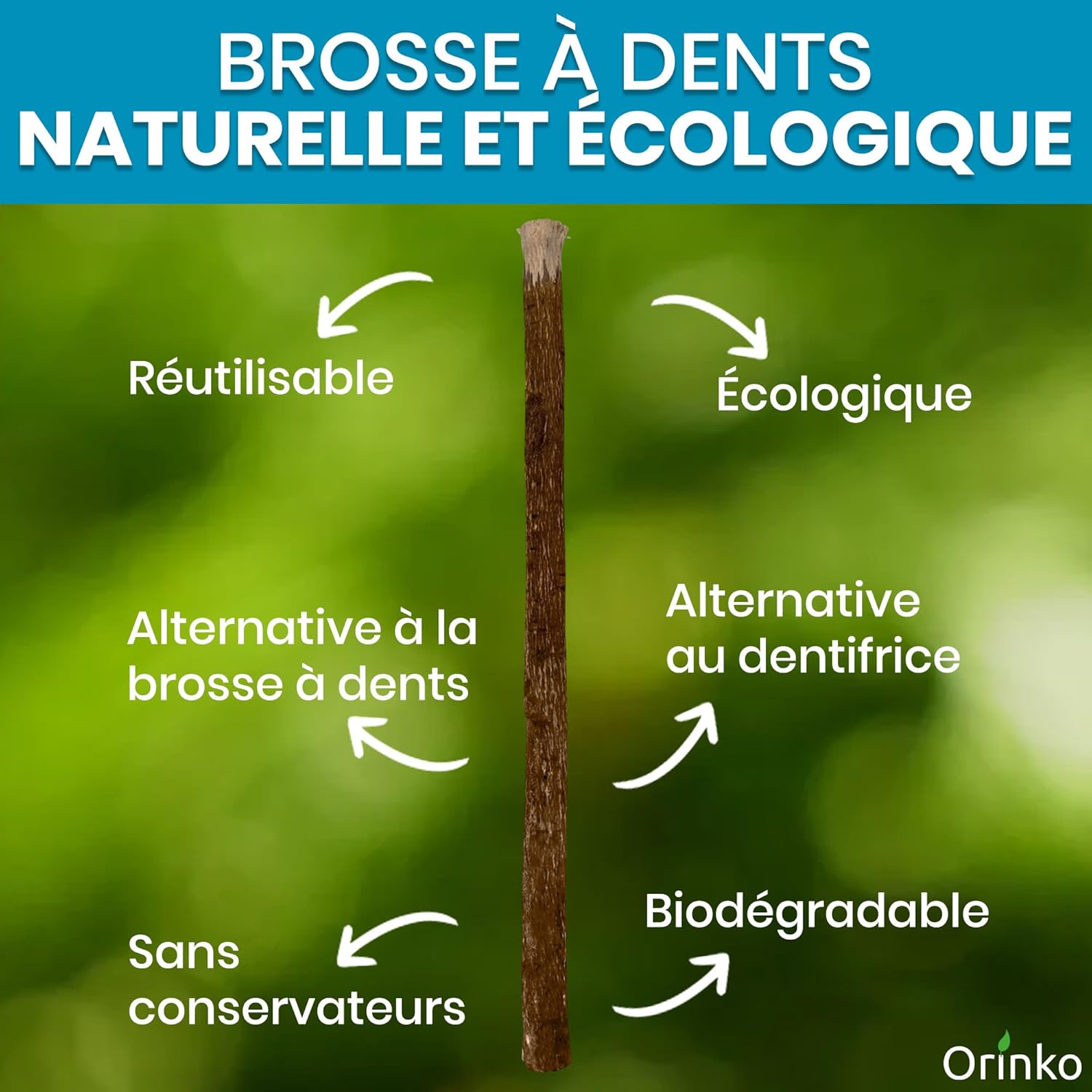Bâtons de Siwak d'Olivier x5 + 1 Étui de Protection – Brosse à Dents 100% Naturelle – Image 3