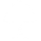 arbre-orinko arbre-orinko
